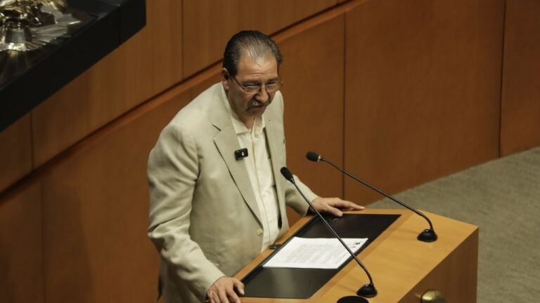 Estrategia del PT: autonomía electoral frente a pactos con Morena