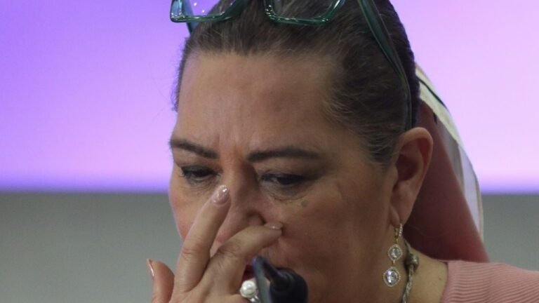 Consejera Taddei: exigencia de renuncias erosiona capacidad electoral INE