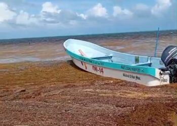SARGAZO Y MAREA ALTA: Reportan pescadores afectaciones en puerto María Elena tras sismo en el Caribe