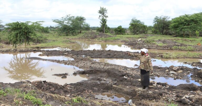 Conflictos y shocks energéticos erosionan la seguridad alimentaria global