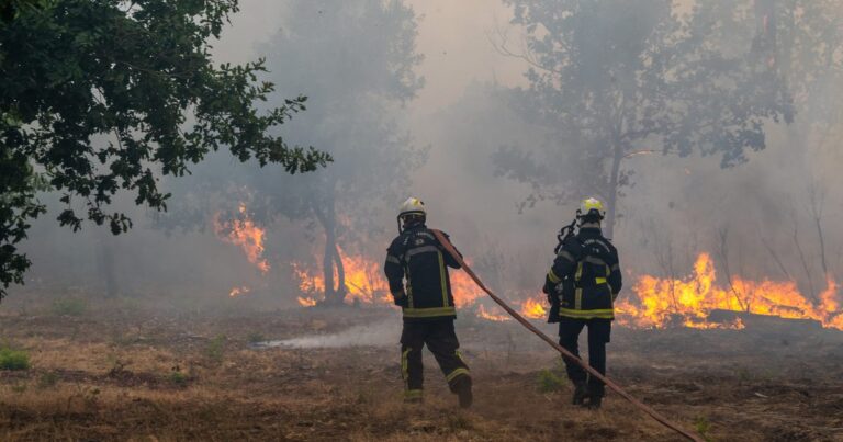 Francia y España enfrentan un quiebre por incendios forestales masivos
