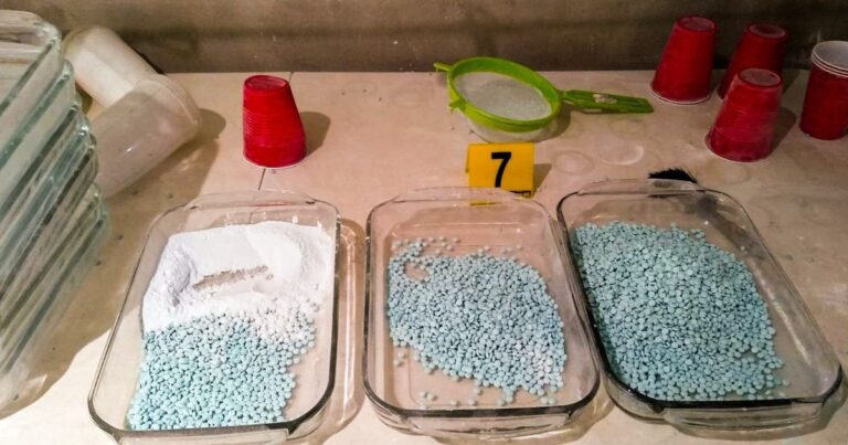 Cárteles mexicanos exportan su modelo de negocio criminal a escala global