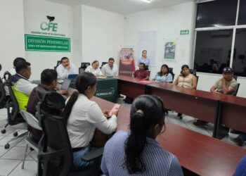 CFE-GOBIERNO-COMUNIDADES: Establecen plan de acción contra apagones en el sur de QR