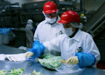 FDA descarta origen mexicano en brote por lechugas de Taco Bell
