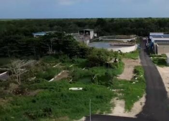 TRAS DENUNCIAS AMBIENTALES: Chacón anuncia recorrido en planta de tratamiento de Cozumel