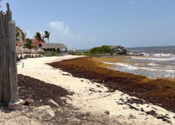 | CAMINOS DEL MAYAB | Funcionario de Tulum desafía a Secretario de Turismo