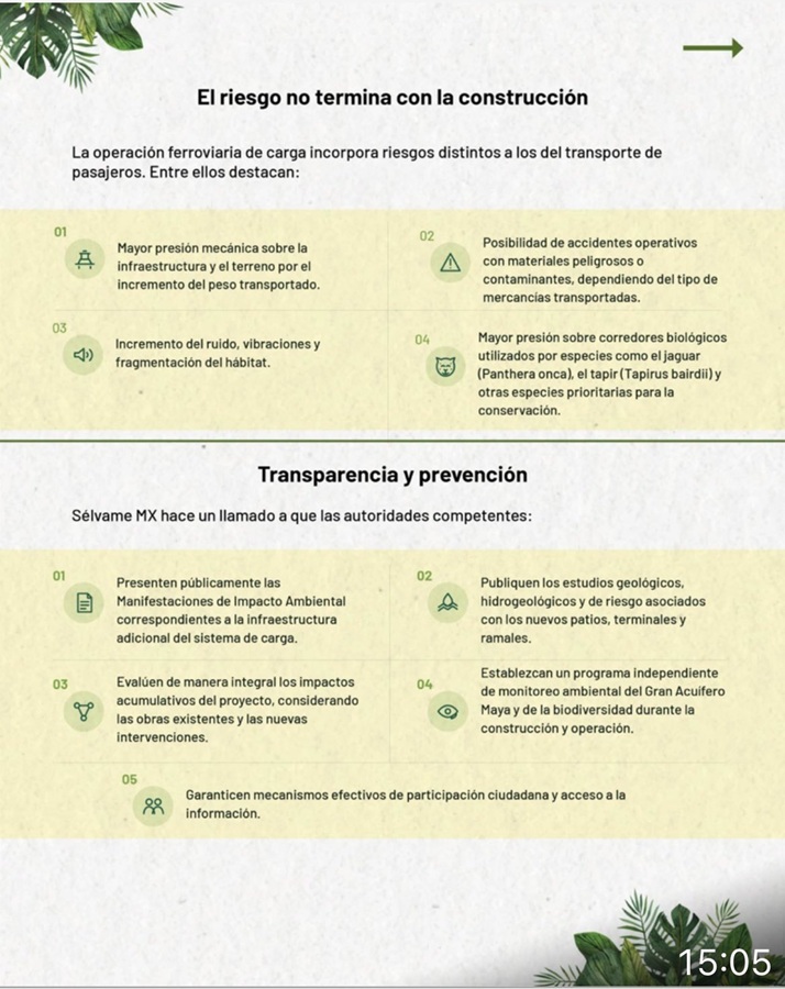 TREN MAYA DE CARGA: Advierte SelvameMX riesgos para la selva, cenotes y ríos 1 WhatsApp Image 2026 07 18 at 11.32.49 AM