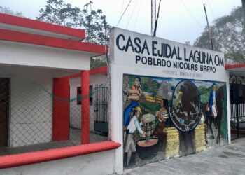 POR TERCERA VEZ: Expropian tierras en el ejido Laguna Om para el Tren Maya