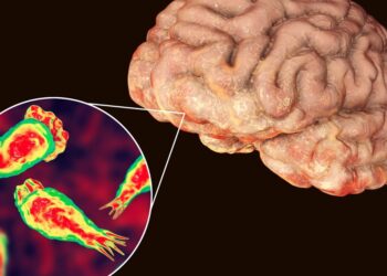 Naegleria fowleri: impacto letal de la ameba comecerebro en Luisiana