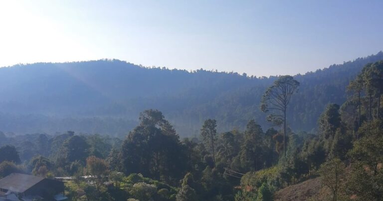 Masacre en Cerro de Lumbreras: conflicto forestal desata violencia en Guerrero