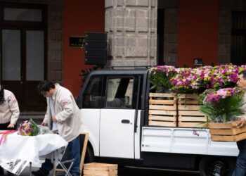 Claudia Sheinbaum abre la producción de Olinia a capital privado
