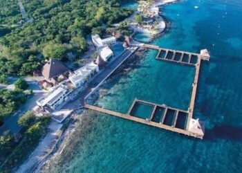 INICIAN ESTUDIOS: Crearán en Cozumel primer santuario de delfines de Latinoamérica