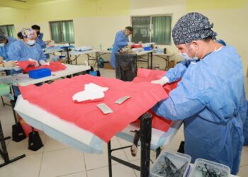 CAMPAÑA GRATUITA: Esterilizan a 215 perros y gatos en Zona Continental de Isla Mujeres