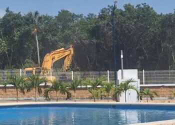 EN “CHANGE.ORG”: Reúnen firmas para frenar tala de árboles en PDC