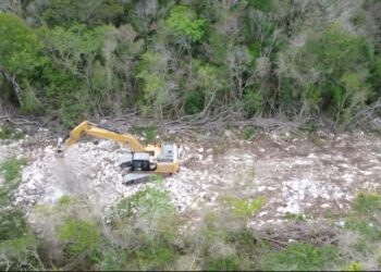 TULUM: Pese a denuncias, continúa carretera en Sac Actún; cuestionan que sea un camino sacacosechas