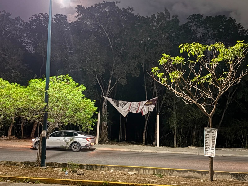 Denuncian tala de árboles en área verde de Playa del Carmen 2 WhatsApp Image 2026 08 01 at 11.52.54 AM 1