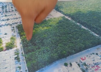 Piden vecinos declarar Área Natural Protegida selva en Villas del Sol