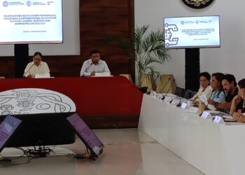 APAGONES EN PLAYA: Propone regidor fondo para reparar daños a familias
