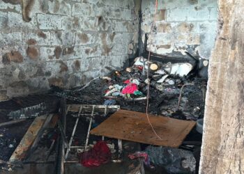 Incendio deja sin hogar a familia y cobra la vida de una perrita en Cancún