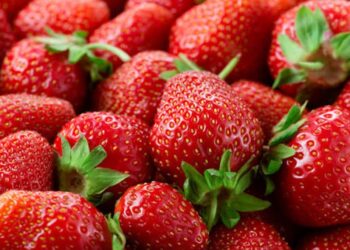 EU impone cuotas antidumping a fresa mexicana; Gobierno advierte riesgo para productores