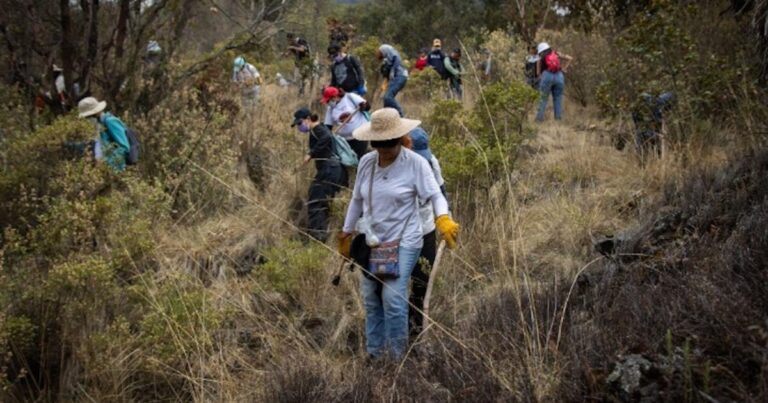 Radiografía de violencia en el Ajusco revela más de cien desapariciones y cientos de cuerpos hallados