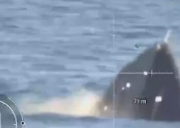 Ucrania ejecuta la primera confrontación naval entre drones en el mar Negro