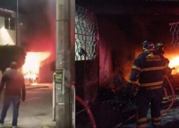 Incendio en la alcaldía Gustavo A. Madero durante festejos patrios deja saldo de 14 perros muertos