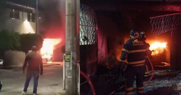 Incendio en la alcaldía Gustavo A. Madero durante festejos patrios deja saldo de 14 perros muertos