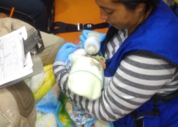 Radiografía de la natalidad mexicana evidencia brechas regionales y concentración demográfica en 2025