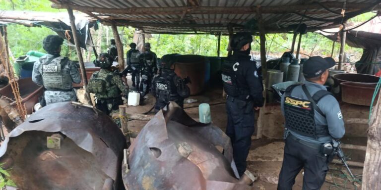 Fuerzas federales desmantelan tres laboratorios de metanfetamina en Guerrero