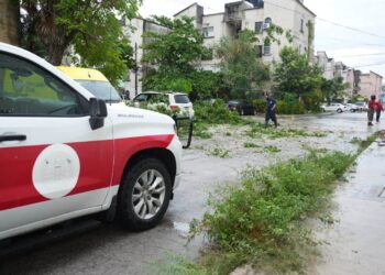 LLUVIAS EN CANCÚN: Dejan árboles caídos, cableado dañado y autos varados