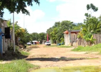 TRABAJAN CON 25 EJIDOS: Buscan regularizar 400 asentamientos en QR
