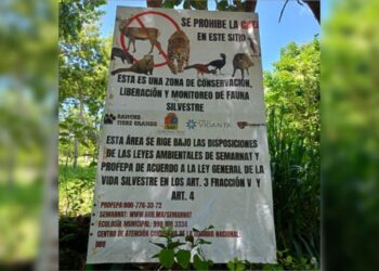 PLAYA DEL CARMEN: Proyectan centro de rehabilitación para fauna silvestre