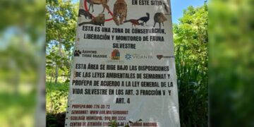 PLAYA DEL CARMEN: Proyectan centro de rehabilitación para fauna silvestre