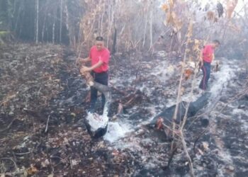 LIQUIDACIÓN VA EN 75%: Avanza combate de incendio a las afueras de Cancún