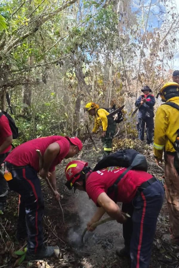 INCENDIOS2
