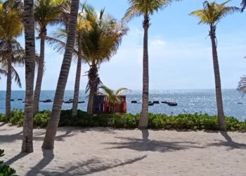 RECUPERACIÓN DE PLAYAS: Evalúan costos y ampliación del proyecto en QR 2 RECUPERACIÓN DE PLAYAS: Evalúan costos y ampliación del proyecto en QR