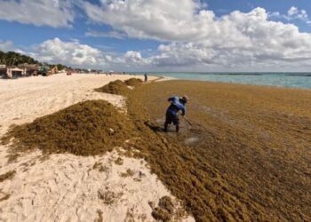 TULUM: Diversifican la oferta turística frente a retos como el sargazo