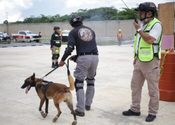 CULTURA DE PREVENCIÓN: Suma QR más de 172 mil participantes en simulacro nacional