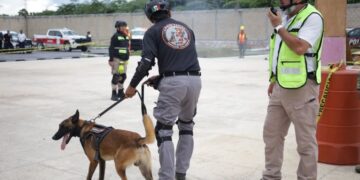 CULTURA DE PREVENCIÓN: Suma QR más de 172 mil participantes en simulacro nacional