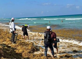 SARGAZO SIN TREGUA: Playa Delfines, la más golpeada en Cancún