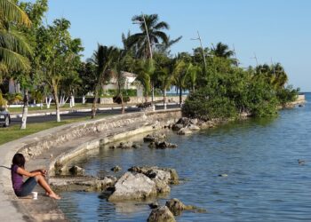 LLEGA HASTA LA BANQUETA: Alertan por erosión en el Boulevard Bahía de Chetumal