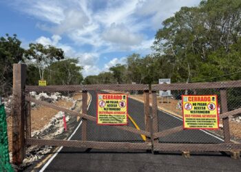 EN SELVA DE TULUM: Avanza carretera sobre Sac Actun pese a denuncias ambientales