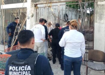 MALTRATO ANIMAL: Rescatan a 13 perros en vivienda de Cancún