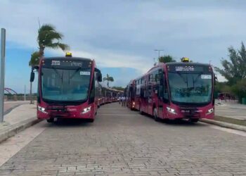 MOBI: Turicun entra con 38 autobuses y alista hasta 70 más 5 MOBI: Turicun entra con 38 autobuses y alista hasta 70 más