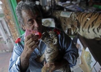 Crece respaldo a favor de ‘Pepe Tigre’; petición en Change.org supera las 17 mil firmas