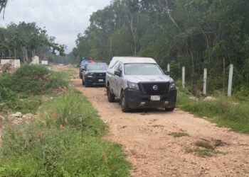 Muere adulto mayor mientras cortaba leña en Playa del Carmen