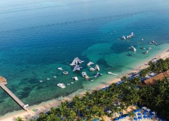 Hombre pierde el brazo tras ataque de cocodrilo en Cozumel