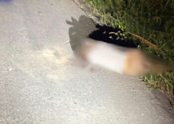 CERCA DEL CERESO: Localizan sin vida a hombre con heridas de bala en Playa del Carmen