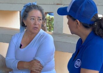 “SOLDADOS AZULES”: Recorre PAN colonias de Playa para escuchar demandas ciudadanas